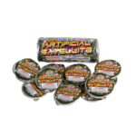 Artificial Satellite