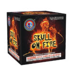 Skull on Fire